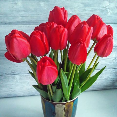 Ярких #тюльпанов вам в ленту 💫
Приятность от #мужа😍
P.S.#тюльпаны в кружке😁,вот что значит ремонт и всё в коробках