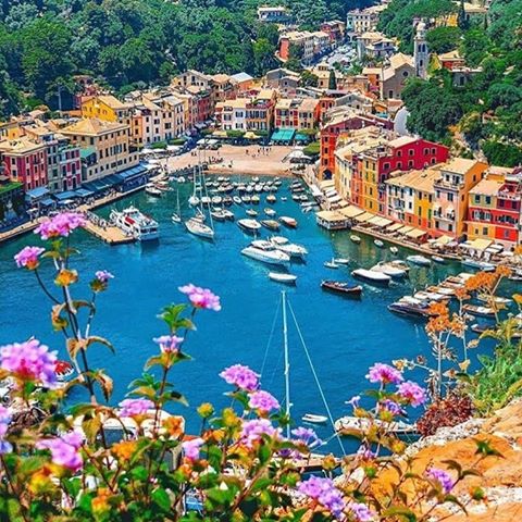 Roses are red violets are blue!😄
Do you want to go here? 😃
Who would you go with? 💥
For more amazing travel content @aclassytraveller
Make sure to checkout our story @aclassytraveller
.
.
.
By @takemyhearteverywhere
.
.
.
#italy #italy🇮🇹 #italytravel #italy_vacations #italy_stop #italya #europe #europetravel #europe_pics #europe_greatshots #europestyle_ #eurotravel #europe_focus_on #discover #discovereurope #discover_earth #coast #travel #travellers #traveladdiction #photography #photographyeveryday #photography📷 #naturephotography #travelphotography