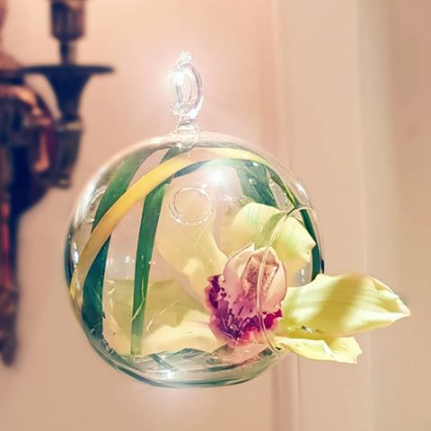 What should I do I'm just a little baby
What if the lights go out
And maybe and then the wind just starts to moan
Outside the door he followed me home
So goodnight moon.
#beverlyhills #fourseasons #beverlywilshire #2019 #interiordesign #fornituredesign #accessories #flowergram #instaphoto #pictoftheday #supermarioartworks #influencermarketing #prettywoman #instapics #f4f #bestpicture #instadesign #art