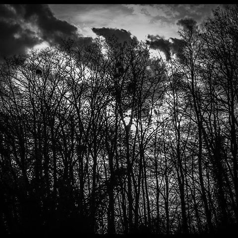 The secret side of me
I never let you see
I keep it caged
But I can't control it
So stay away from me
The beast is ugly
I feel the rage
And I just can't hold it
.
.
.
.
.
#photography #blackandwhite #tree #black #dark #likeforlikes #mood #photo #pic #picoftheday #instagood #followforfollowback #photographer #art #passion #likeforfollow #picture #sky