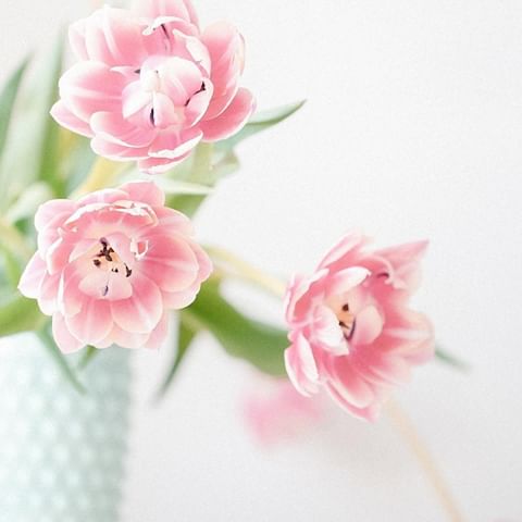 Really don't think I could ever buy too many flowers😍⁣
.⠀⁣
.⠀⁣
.⠀⁣
📷:@thecreativepotential⁣
⁣
⁣
#instablooms #flowersofinstagram #thatsdarling #pursuepretty #lovelysquares #morningslikethese #flashesofdelight #thehappynow #livecolorfully #prettylittlething #oneofthebunch #abmlifeiscolorful