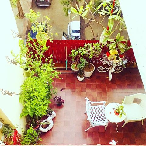 View from the top #brightspaceswelove #mydesiswag #vastu #abundancemindset #decorraaga #mygreentreasure#myplantslovinghome#thefestivaltale