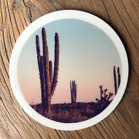 “You’re Cactus”.....not a threat, just a kick ass piece of art that wants to go home with you! 🌵😁
Available now