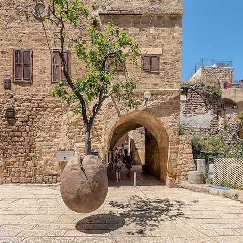 Beautiful art installation in the old city of Jaffa
#telaviv #jaffa #instagram_israel #insta_israel #israel #arte #artofvisual #ig_myshot #architettura #travelworld #oldcity #artphotography #architecturephotography #citywalk #installationart #tlv #×ª×œ×�×‘×™×‘ #×™×©×¨×�×œ #tmunot_israel #igersisrael #travelphotography #travelplaces #cityphotography #viaggiare #arch #fotografando #fotografo #nikonphotography #nikond810