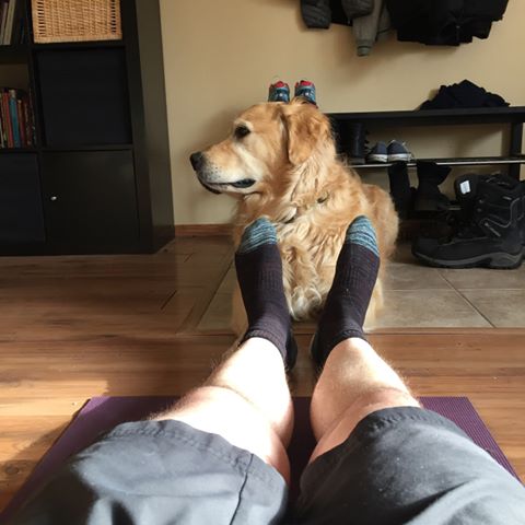 My post run yoga was more about the photos and less about the booty gains. At least for once I can post some pretty photos on this account. #dogs #goldenretriever #dog #dogsofinstagram #yoga #run #runner #bbg #bbgtransformation #bbgprogress #fitness #fitfam #booty #bootyworkouts #bootybuilding #bootygainz #kaylaitsines #kaylasarmy #feet
