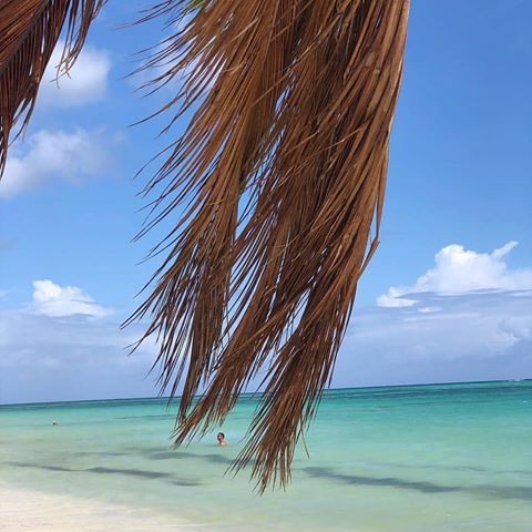 #dominicanrepublic #puntacana #republicadominicana #dominicana #santodomingo #rd #love #travel #caribbean #beach #vacation #newyork #photography #puertorico #dominican #miami #dr  #instagood #follow #sea #like #bavaro #life #saona #losangeles #nyc #mexico #music #bhfyp #playamacao