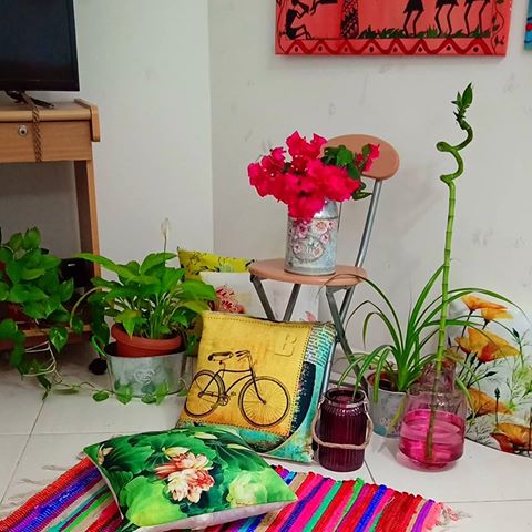 My green and colourful corner of my home with some new additions...this milk can I am searching from long but finally I got it, bamboo stick and its coloured vase perfect for each other and one mason jar candle holder...
.
.
.
My tip for plant care in summer...I bring all my greens inside to protect them from the hot sun or cover them with a piece of cotton light weight fabric during day time....
.
.
#myhomeview #myhomevibe #myhome #hyggelife #mygreentreasure @kajal8212 @beena_mumbai @gopalgaya @mygreentreasure #mydesiswag @preethiprabhu @rittika_ariyonainterior #thefestivaltale @decorholics_abode @sreedeviputigampu  #housetour #apartmenttherapy #homedecorindia #howihome #currentdesignsituation #finditstyleit #homerenovation #indiandecorideas #miradorlife #homedecor #brightspaceswelove #indianhome #hyggehome #houzz #bhghome  #nestandflourish #mystylednest #beautifulhomesindia  #pocketofmyhome #bhgstylemaker #eclecticinterior #homecanvas  #decorraaga @9bynamrata @divyajujaray @swetashaktipanda