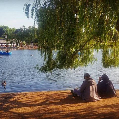 At the Serpentine in Hyde Park on a balmy day
#serpentine #hydepark #lido #park #lake #river #london #swan #birds #tree #couple #niceday #런던 #하이드파크 #호수 #새 #나무