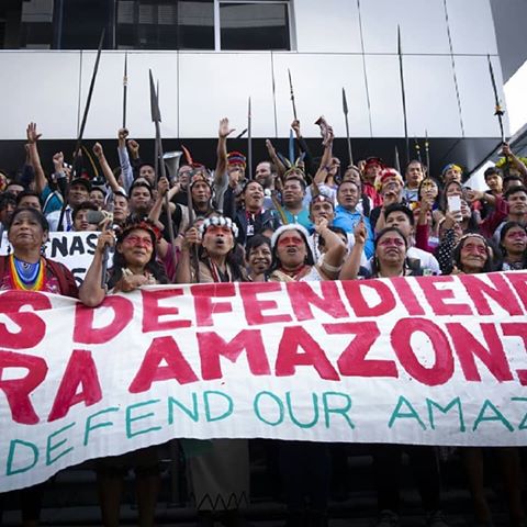 Powerful moment for indigenous frontline organizing against fossil fuel extraction! Earlier this week, hundreds of indigenous youth and elders from the Kichwa, Sapara, Andoa, Shiwiar, Achuar and Shuar tribes of the Ecuadorian Amazon travelled to the capital city of Quito to join the Waorani people's mobilization in defence of their landmark legal victory that protects half a million acres of their rainforest territory from oil drilling. The government's decision to appeal the sentence puts the victory at risk! 
Send a message to the Ecuadorian government demanding respect for the court’s decision: (link in bio)