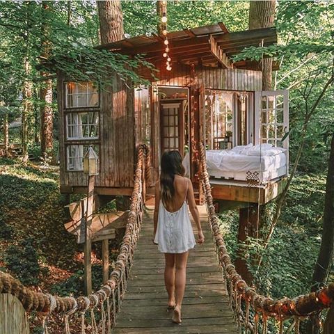 Amazing Tree House🌲🏡 🍃🌴 😍 Tag a friend you’d spend time with in this place ✋🏻🥂 Save an additional 10% OFF using code: PHUNK10 💞 on your next order at www.buddhaphunk.com 🌈 #buddhaphunk #phunkbabes -
-
Follow @gypsy_soule_founder for more amazing content 🌟
.
.
.
.
#bohochic #bohemiandecor #bohemianinterior #bohochic #bohemiandecor #bohemianinterior #bohemianstyle #bohemianstyles #bohostyle #boholife #bohemianlife #bohostyles #bohodecor  #psytrance #mandala #hippiegirl #dreadlocks #portraitpage #bohostyle #psychedelicart #progressivetrance #ibiazbohogirl #mandalatattoo #progressive #ravegirl #inkstagram #plurgirls #psychedelic @chloebarryhang
