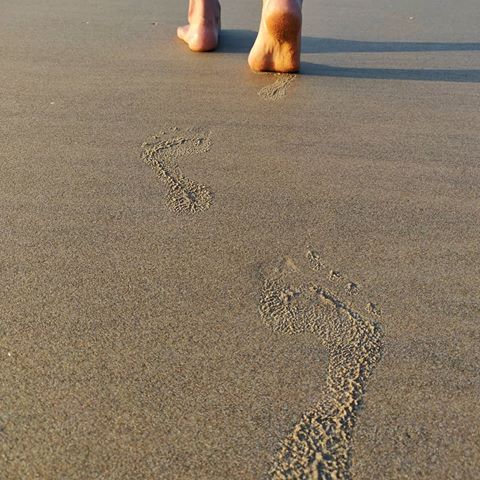 Leave footprints of kindness wherever you go....
#traveller #travel #wanderer #wanderlust #photography #goa #goadiaries #beach #sand #footprints #oneplus6t #benaulim #instagram #sea #seaside #love #instatravel #latepost