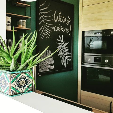 wiosennie w kuchni, zielono za oknem i zieleń na ścianie:) #kitchendesign #kitchen #greenwall #beckersdesignercollection #beckers #secretgarden #modernliving #modernhouse #design #loftstyle #loftdesign #ikeapolska #ikeakitchen