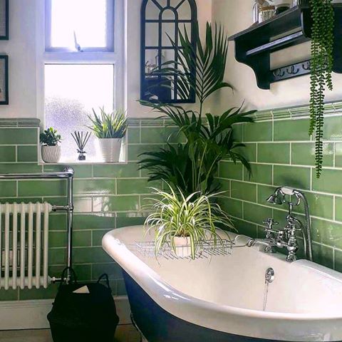 🛁 Would you bathe here?
•
Amazing design by @we_live_at_no.21 this beautiful bathroom would be so relaxing
•
❤ Follow for daily content @greenpinkandgrey
•
•
•
•
•
#myhome2inspire
#myhometrend
#homegoals
#passionforinterior
#scandinavianhome
#solebich
#houseplants
#jungalowstyle
#cosyhome
#interiorwarrior
#urbanjungle
#urbanjunglebloggers
#gardendesign
#wooninspiratie
#roomporn
#brocante
#stoerwonen
#interior_design
#hyggehome
#monochromehome
#bohochic
#whiteinteriors