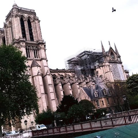 Si torna a casa . Grazie Parigi tanto ferita ma sempre affascinante ♡♡
♡◎♡◎♡
♡◎♡◎♡
#pariginelcuore♥ 
#europe_ig 
#best_europe_photos🦉 
#still_life_gallery 
#europe_pics  #poket_world 
#instagrammers #france 
#notredame ♡♡
♡♡p