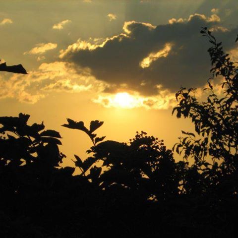#Sunset #sky #clouds #nature #CzechRepublic #welovesunset #sunsetlovers #českárepublika #mypassion #love #sunsetlover #sunsetlove #springsky #sunsetsky #sunsetlight #colorofnature #skylovers #lovesunsets #cloud #europe #nofilterneeded #nofilter
