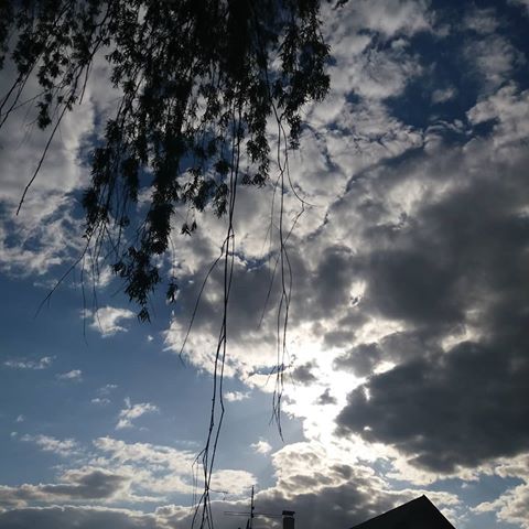 Nebe
.
.
.
#slunce #slunicko #kveten #mraky #nebe #obloha #zapad #zapadslunce #strom #vrba #venkov #vesnice #priroda #vetve #čechy #českárepublika #sun #may #sky #tree #sunset #sky #clouds #tree #branches #willow #village #country #nature #czechrepublic