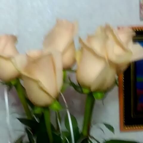 После работы меня ждал букет!!!
#мужбалует #цветочки #розы #доммой