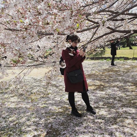 "Maru, did you see cherry blossoms in Japan?" Me: 🌸🌸🌸🌸🌸🌸
.
.
.
.
.
.
.
.
.
.
.
.
.
.
.
#travel #travelling #tokio #japan #hanami #park #japanlover #桜 #東京 #日本 #🇯🇵 #花見 #cherryblossom #potd #instatravel #今日の写真 #旅 #旅行 #hamarikyu #hamarikyugardens #写真 #写真術 #公園 #tokyo #japantravel #visitjapan #japantrip #instajapan #sakura