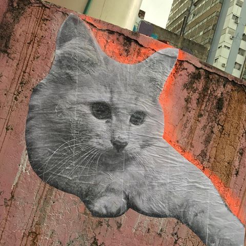 this is not streer art, this is street ATR, cat!💚✊🏾💥Si pasas x mendoza y cabildo, (bsas) levanta la vista, quiza te parezca haber visto un lindo gatito . Gracias a toda la ATR band x compartir aulas y calles🙏✊🏾💥🔥 #pegatinas #sehaceseaprende #streetart #workshop #maradona  #art  #pasteup #wheatpaste #streetart #urbanart #artecallejero #lambelambe #pegatinas #mural #sanspiga #arteurbano #napoles #napoli #artecallejero #wall