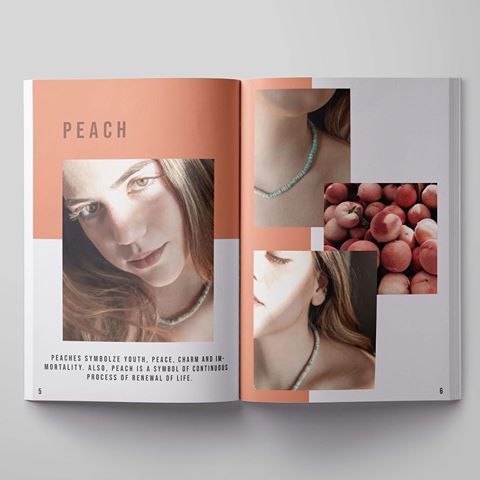 Magazine Catalogue for Ecoline Company. A company which uses recycled plastic bottles to create Jewellery🌱
#magazine #minimal #ecoline #recycling #plastic #earth #enviroment #recycle #art #graphicdesign #assignment #aesthetic #vibes #pale #colours #peaches #sustainablefashion #sustainability #sustainableliving #sustainable #sustainableclothing #greendesign