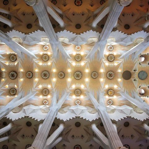 Sagrada familia ceiling
.
.
.
.
#architecture #barcelona #sagradafamilia #bcn #architecture_view #art #architecture_best #architecture_hunter #architecture_lovers #canon_photos #gaudi #visitbarcelona #barcelonacity #spain #catalonia #catalunya #travel #topbarcelonaphoto #canon_photos #barcelonastravel #barcelonaonline #bcnmoltmes #ig_ometry #canonnordic #visitspain #topspainphoto #ig_barcelona #ig_color #ig_spain #spain_vacations