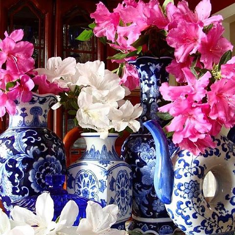 Friday’s are my fave. Hope you have a good one! 💕
📸: @virginiaduailib .
.
.
#blueandwhite #blueandwhiteforever #blueandwhitedecor #blueandwhiteporcelain #homedecor #homedecorating #homeinterior #pink #pinkflowers #pinkdecor #friday #fridayfavorites #fridayfun #treasurehunts #blueandwhitevases #forsale #itemsforsale #finallyfriday #tgif #fridaymood