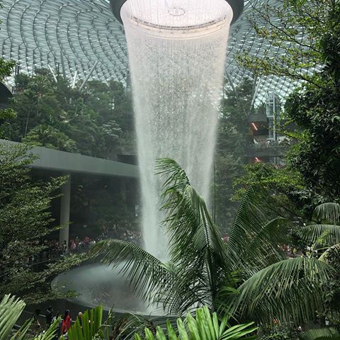 Incredible airport! #singapore #jewel #jewelchangiairport #airport #travel #waterfall #indoornature #holiday #asia #nature #spectacular #plants #beautiful #instagood #lovelife