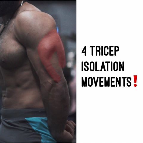 4 TRICEP ISOLATION MOVEMENTS! ⁣
⁣
Here are 4 of my favorite Tricep isolation movements you can add to your next push day, or arm day.⁣
⁣
The first and third movement primarily target the long head, while the 2nd and last target the lateral/medial head of the tricep. ⁣
⁣
These can be great if you struggle feeling one of your tricep and/ or have strength/ muscle imbalances between them.⁣
⁣
I would recommend starting with your weaker/ the one that is under developed then matching the stronger side. ⁣
⁣
You could even add an additional set to that one if its super behind. ⁣
⁣
You can also pick one or two of these to warm-up your triceps/ joint before going into more bi-lateral movements like the skull crusher.⁣
⁣
You can do 3-4 sets in the reps ranges 12-20 to get some metabolic stress in there. ⁣
⁣
Mind to muscle connection is huge when it comes to these so don’t be mindlessly just going through the movement! FOCUS! ⁣
⁣
Visualize your muscle being worked! ⁣
⁣
What video you want to see next ? 🤗⁣
⁣
⁣
#fitnessiq⁣
#manifestgreatness⁣
#disciplineovermotivation⁣
#newbreedphysiques⁣
#onlinecoach⁣
#gothere⁣
#aesthetics⁣
#bodybuilding ⁣
#powerbuilding. ⁣
⁣
⁣
⁣
⁣