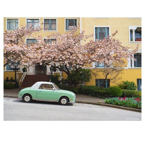 Pretty car, pretty building, and pretty trees 🌸... taken today.
.
.
.
#cherryblossoms #springwatch #vancouverlife #architecturedaily #architecture_view #architecture_greatshots #architecturaldigest #vancouverartist #yvrphotographer #industrialstyle #photography📸 #photography_lovers #vintagecars #photography_love #olympuspen #lumix #vancouverbc #observation #streetphotos #northwestcreatives #pacificnorthwest #fineartphoto