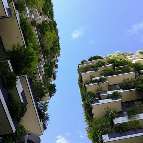 Ma se...
#boscoverticale#milano#urbandesign#greendesign#Pasquale#architetturamoderna#mah
