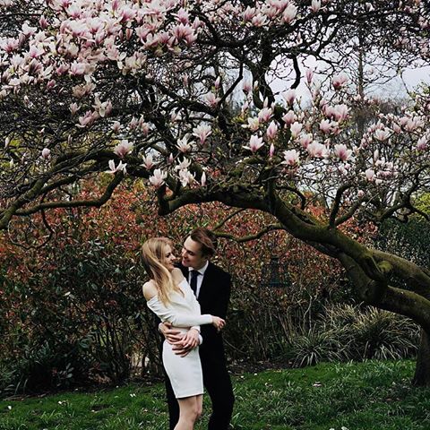 Magnolia is a new Sakura #inlove #springiscoming #london #hydepark #wedding