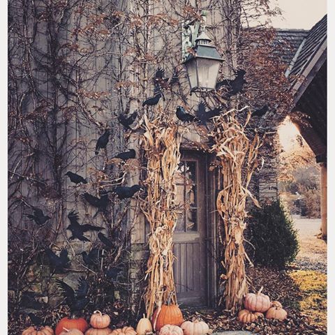 🏠
.
.
#fallaesthetic #spooky #house #halloween #halloweenvibes #autumn #horror #creepy #deco #housedecor #pumpkin #season #october #november #birds #instalike #instagood #f4f