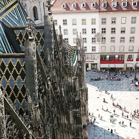 After a tour through the church, a narrow spiral staircase comprising of 343 steps leads to airy heights. From the 137 meters high South Tower there is a stunning view over Vienna's city centre. #travelbug_vienna #travelbug #tripplannerinaustria #visitaustria #visitvienna #placestovisitinaustria #placestovisitinvienna #exploaringaustria #cathedral #stephenscathedralvienna #viewfrom137meters #stunningview #австрия #отпуск #столица #вена #добропожаловать #посетитеавстрию