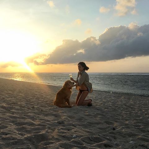 sea + wine + dog + sunset + @adam__ph = ☺️