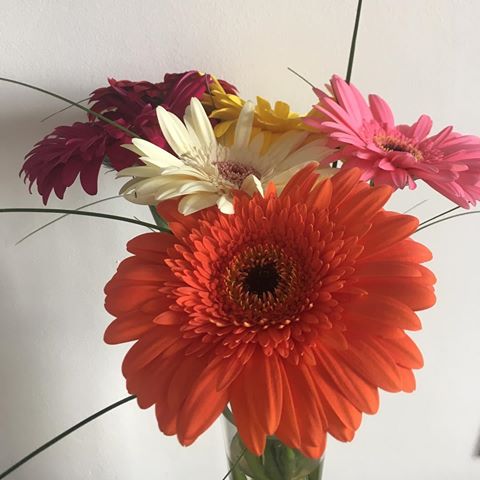 Flowers 
J’adore recevoir des bouquets de fleurs ça mer de la gaité dans la maison.
******************************
#flowers #flowerpower🌸 #fleurs #maisonfleurie #lesfleurscestlavie #beautiful #homedeco #deco #homesweethome #instagood