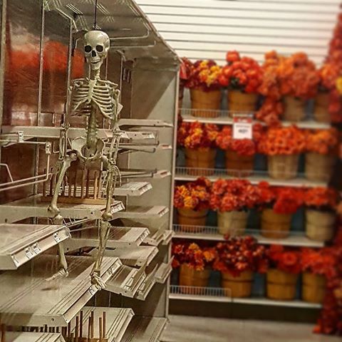 This aisle is dead. Turn back now! Or we will bury you behind the flowers.
Michael's is in the process of switching its displays around for fall and Halloween, resulting in this lone skeleton hanging from empty shelving.
.
.
.
.
.
#boisemichaels #makeitwithmichaels #idaho #Boise #halloween #fall #falldecorations #halloweendecorations #fallflowers #skeleton #hangingskeleton #michaels