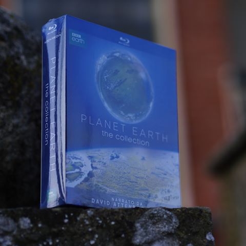 PLANET EARTH COLLECTION
go @kochmedait go go !!
><>><<>>>>>><<>>
#whales #whalewatching #heart #yacht #documentary #photojournalism #documentaryphotography #discover #leaf #foliage #deep #deephouse #boat #water #ocean #dive #red #tree #yellow #underwater #underwaterphotography #diving #sealife #marinelife #waves #planet #aquarium #cover #fishtank #bbc