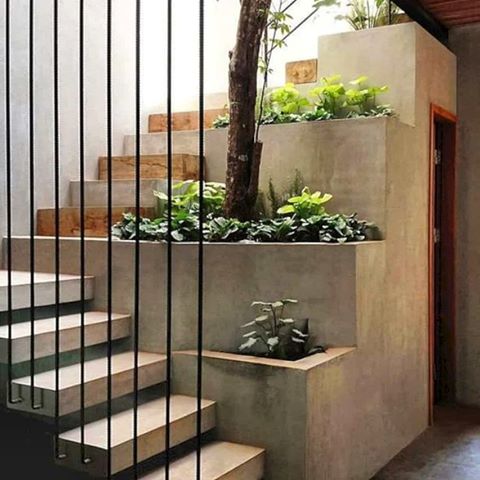 Cool Concrete Staircase Ideas.
These days, a concrete staircase is really famous for a modern house because the grey accent of the concrete material makes it looks modern. The design of staircase with its concrete material is simple and easy to make. It can be built of cement and concrete and it would be perfect if you can put a wood for each step. If you have free space around the concrete staircase, it can be designed to make a mini green garden. You can try to use some mini plants to decor this mini garden.
#luxuryhomes #interiordesign #minimaldesign #architecture #architects #architektur #architecturedaily #archilovers #archdaily #architecture_hunter #architecturaldigest #archidesign #architecturephoto #interiordesign #iarchitectures #archonly #archimpressive #design #dezeen #detaileddesign #lightingdesign #modernarchitecturedesigns