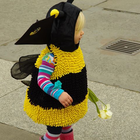 🐝 On Sunday, @xr_families_london and friends marched from Trafalgar Square to Buckingham Palace to hand in letters to the Queen asking her to declare a Bee Rehabilitation Programme on all her land across the UK. 
Without bees we would be very hungry - they pollinate much of the crops and plants that produce our food. Thirty-five species of bees in the UK are facing extinction because of habitat-loss and pesticides. 🐝 
#savethebees #extinctionrebellion #xrfamilies 
Photo by Terry Matthews