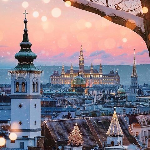 Отмечайте в комментариях тех, с кем хотели прогуляться по сказочной Вене! #вена #австрия #европа #vienna #austria #europe #путешествие #природа #пейзаж #путешественник #турист #люблюпутешествовать #достопримечательность #город #страна #красота #отпуск #отдых #поездка #вояж #путь