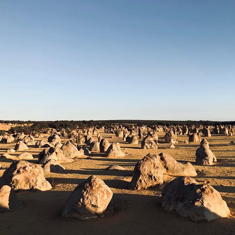 Funny story .
.
.
.
.
#vscocam #vsco #vscogrid #vscovisuals #vscogood #bestofvsco #igers  #train #pier #landscape #landscape_lovers #portrait  #travel #trip #huntgram #livefolk #explore #perspective #australia #instagrames #artofvisuals #mobilemag #adventure #hallazgosemanal #sunset #sunsetlovers #desert #western #sky #skylovers