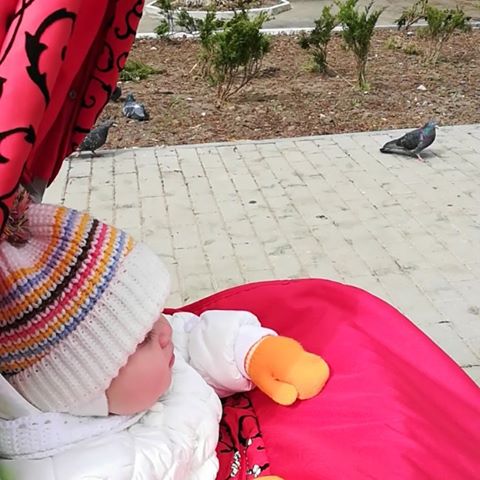 Евгешка любит голубок и кошечек🙃
А мама придумывает, как их заманить😁
#дочка #Евгеша #голубки #голуби #прогулка #слялей #гуляем #гуляемсдочей #скоролето #весна #апрель #мояжизнь #ясчастлива #чудесныйдень #семья