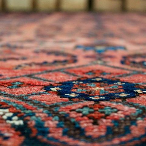 Hello the Tree of Colors tribe! 
Here is a closeup of our beautiful vintage Iranian rug, 100% wool. I sourced it in Belgium on a flea market. As I was looking for a peacock chair, I was immediately drawn to the colors of this rug 🥰 Warm and cold at the same time, it’s this kind of rug that you will keep looking at and find new details everyday 🥰
Link in bio to shop it! .
.
.
.
.
.
.
#belgianblogger#belgique#decoration#blogger#travelblogger#belgium#artirst#worldtraveller#travel#tapis#homedecor#instahome#homedesign#jungalowstyle#thenewbohemians#bohochic#bohohomedecor#homedecoration#moroccanrug#foundforaged#homephotography#colourmyhome#interior4all#apartmenttherapy#bhghome#sodomino#finditstyleit#dslooking#bohemianhome