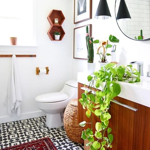 Did you know that your bathroom is actually one of the best spots for some of your houseplants?! @place_ofmy_taste's charming bathroom is also a good reminder to water those plants you may have forgotten about this week!  Share your indoor jungles with us by tagging your photos with #bhghome and #bhgflowers 🌿