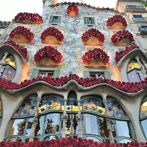 Sant Jordi #instagram #instaphotograph #shooting📷 #spain🇪🇸 #barcelona #bcn #bcnmoltmes #bcnlovers #barcelonacity #barcelona_world #barcelona_turisme #santjordi #casabatllo #rosasrojas #fotostumblr #fotografiaartistica #architecturedaily #architecture_view #architecture_lovers #photography📷 #photography📸 #shotoniphone #spain_vacations #spain_gallery #spain_greatshots #spain_photographs #catalunya_llum #catalunyagrafias