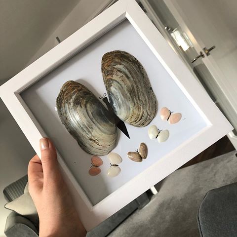 My finished job from yesterday! This is simply a box frame from @therangeuk , some card, shells picked up from Carlyon Bay Beach and Charlestown Harbour and a little bit of ink for the butterfly bodies. 
Simple but effective 😁.
Happy bank holiday Monday!!.
.
.
.
#homedecor #interior #interiordesign #design #homedesign #home #art #interiors #decor #architecture #furniture #decoration #interiordecor #designer #instagood #interiorstyling #instadesign #instahome #homesweethome #style #inspiration #modern #arredamento #handmade #photography #luxury #homedecoration #archilovers #house