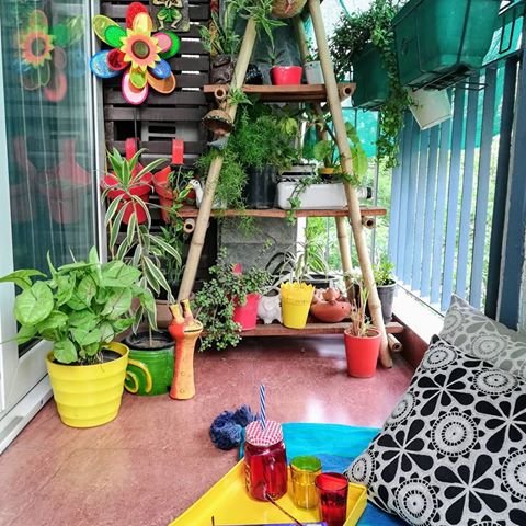 Our rang birangi balcony. Being in east it has direct sunlight half of the day and too harsh for plants to survive in scorching heat of Delhi summers. This year tied a green cloth sheet around open areas and kept Sides open to protect which is a simple way. My entry for #decorraaga
#mydesiswag #mygreentreasure #plantsofinstagram #instaplant
#homedecor #indianhome #greenthumb #balcony #balconyview #indianhomestudio #plantsplantsplants #housebeautiful #balconydesign #houseplants #mygarden #urbanjungle #myhome #jungalowstyle #plantmom #mysunnybalcony #balconygarden #plantobsessed #homegarden #balconydecor #houseplantclub #plantaddict #plantsmakepeoplehappy #apartmenttherapy #gardening