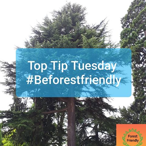 It's top tip Tuesday. Our new Tuesday feature. 
What are your top tips for reducing plastic or being more forest friendly? It may be something simple that many haven't thought off
#ecowarrior #recycle #familylife #party #children's #entertaining #conscientious #saveourplanet #reuse #zerowaste #forest #mums #nowashingup #plastic #free #july #WAHM #Forestofdean #coleford #cinderford #lydney #littledean #monmouth #mibasigc #beforestfriendly #mumsinbusinessassociation #gloucestershire #gloucester #plasticfree #sustainable