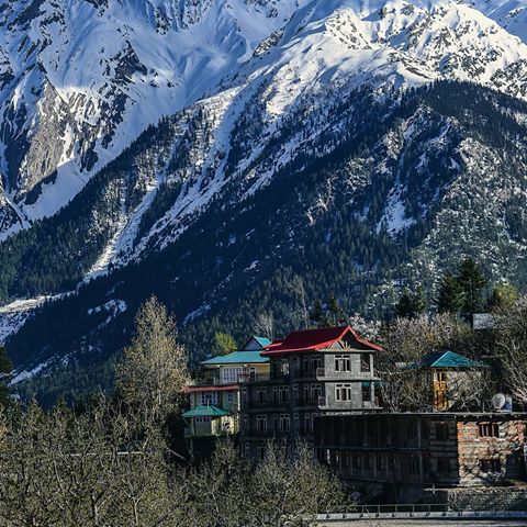 This is Kalpa. It's 9 hrs from #Shimla and the temperature right now is 11°C. How hot is it where you are? 🌡️ 📸 @rashnull 
If you'd like to get featured, follow us and tag your photographs from anywhere in India with #CNTGiveItAShot. 
#incredibleindia #himachal_pradesh #himachalpradesh #devbhoomihimachal #himachaldiaries #roadtrip #himalayas #travelphotography #mountains #travelinspo