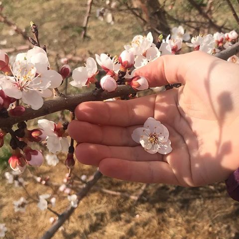 #веснавгороде #хабаровск